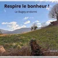 Bugey1