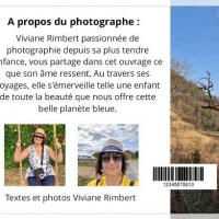 Bugey2