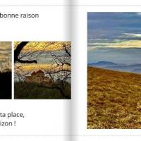 Bugey3