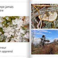 Bugey5