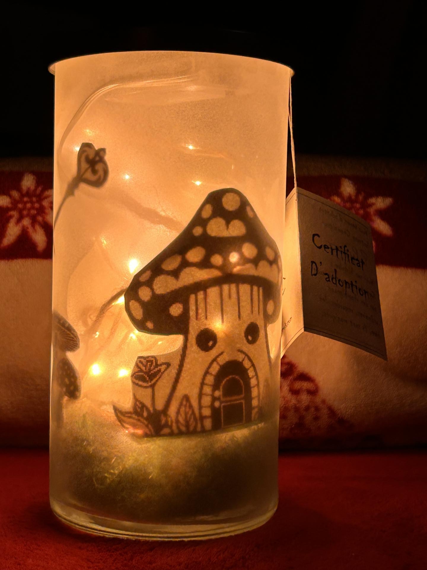 Champignon Polypore 1