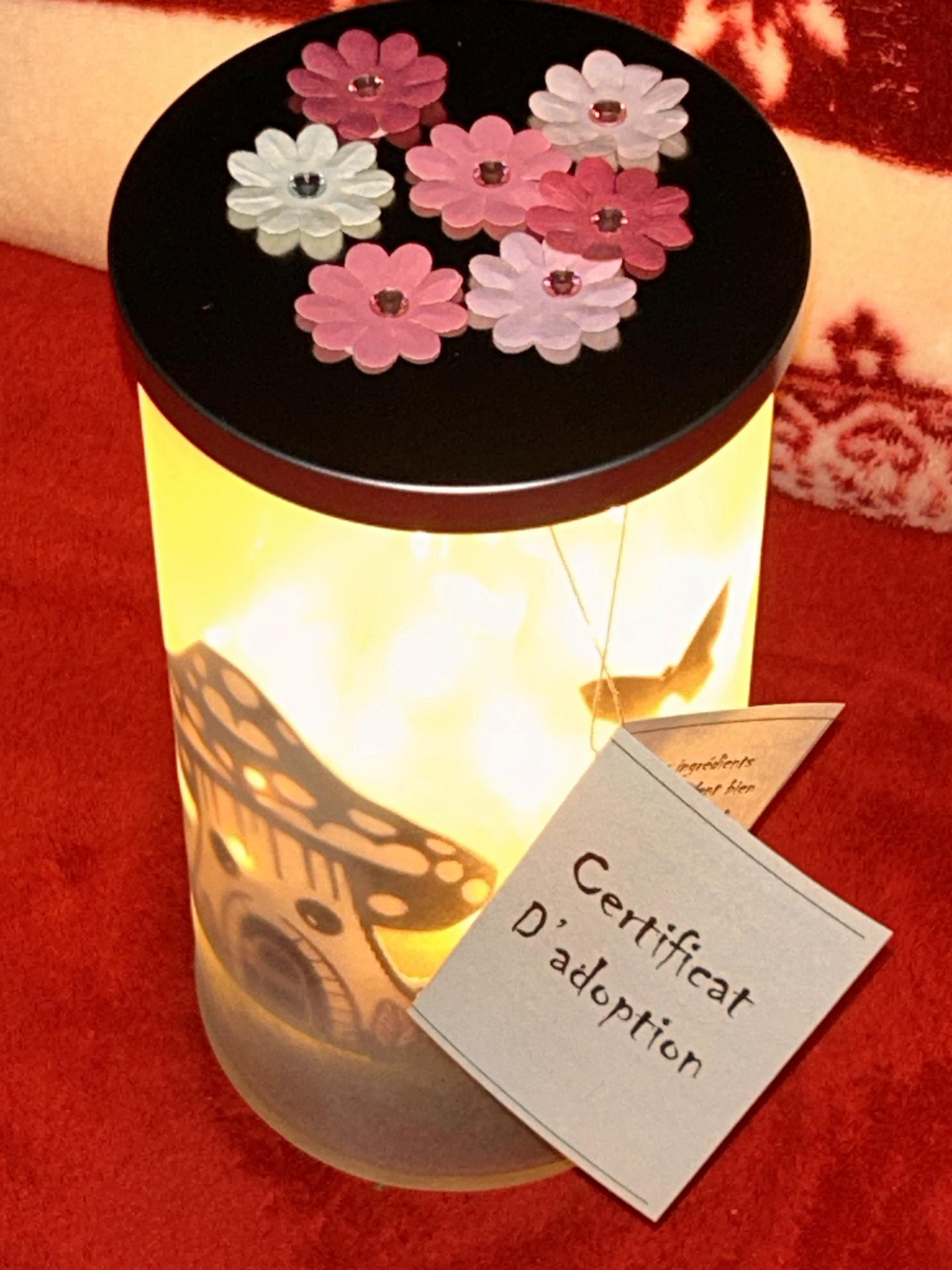 champignon polypore 3