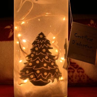 noel lutin 1
