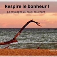 Soleil couchant 1