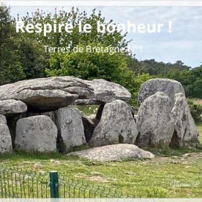 Terres de bretagne 1