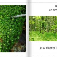 Terres de bretagne 3
