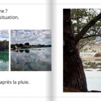 Terres de bretagne 6
